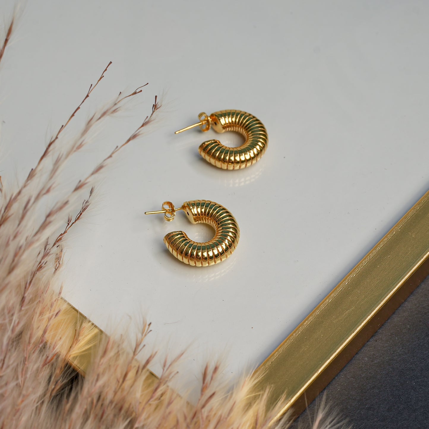 Aretes (Plata 925)