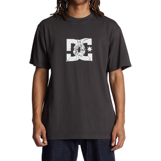 Camiseta - DC Shoes (L)