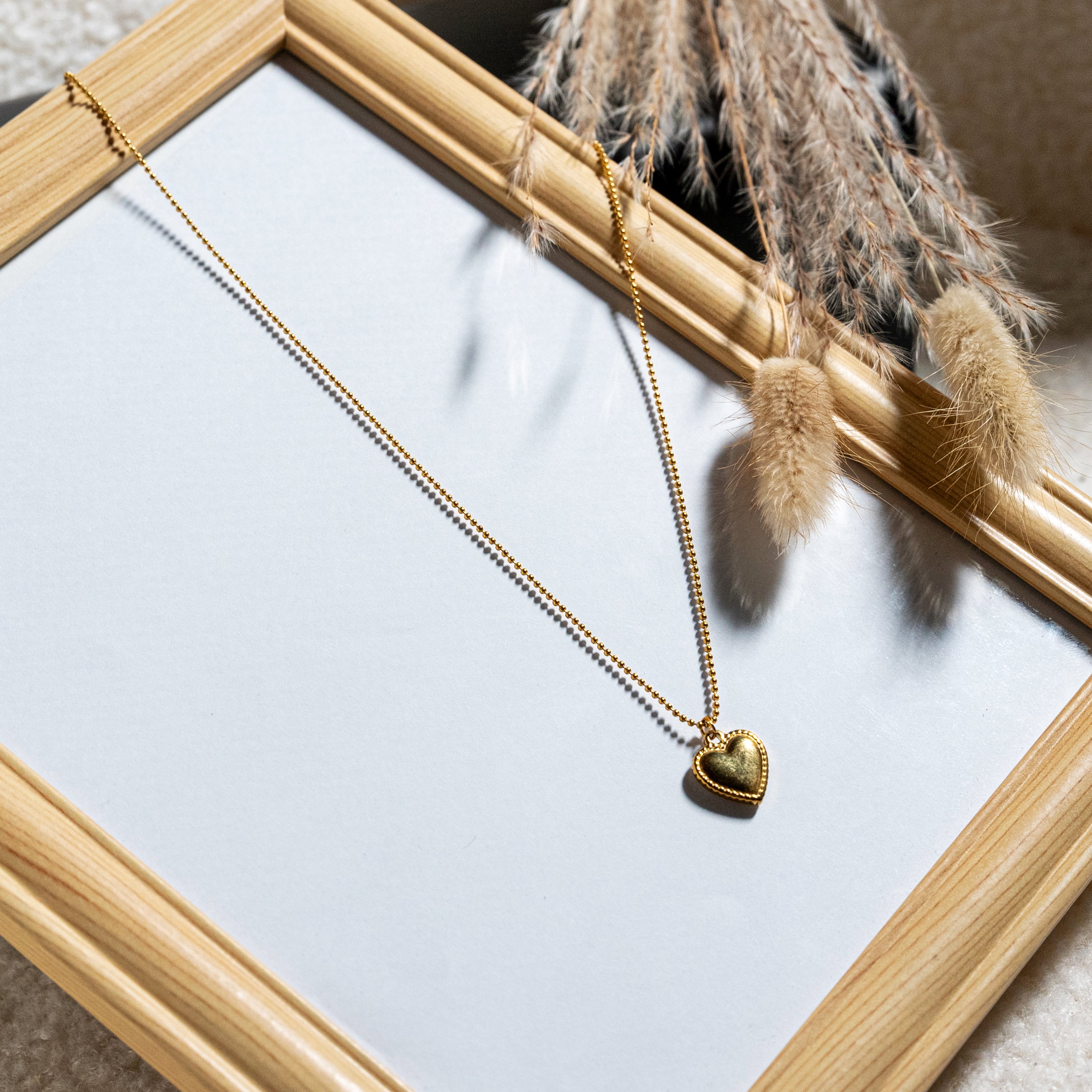 Collar (acero inoxidable)