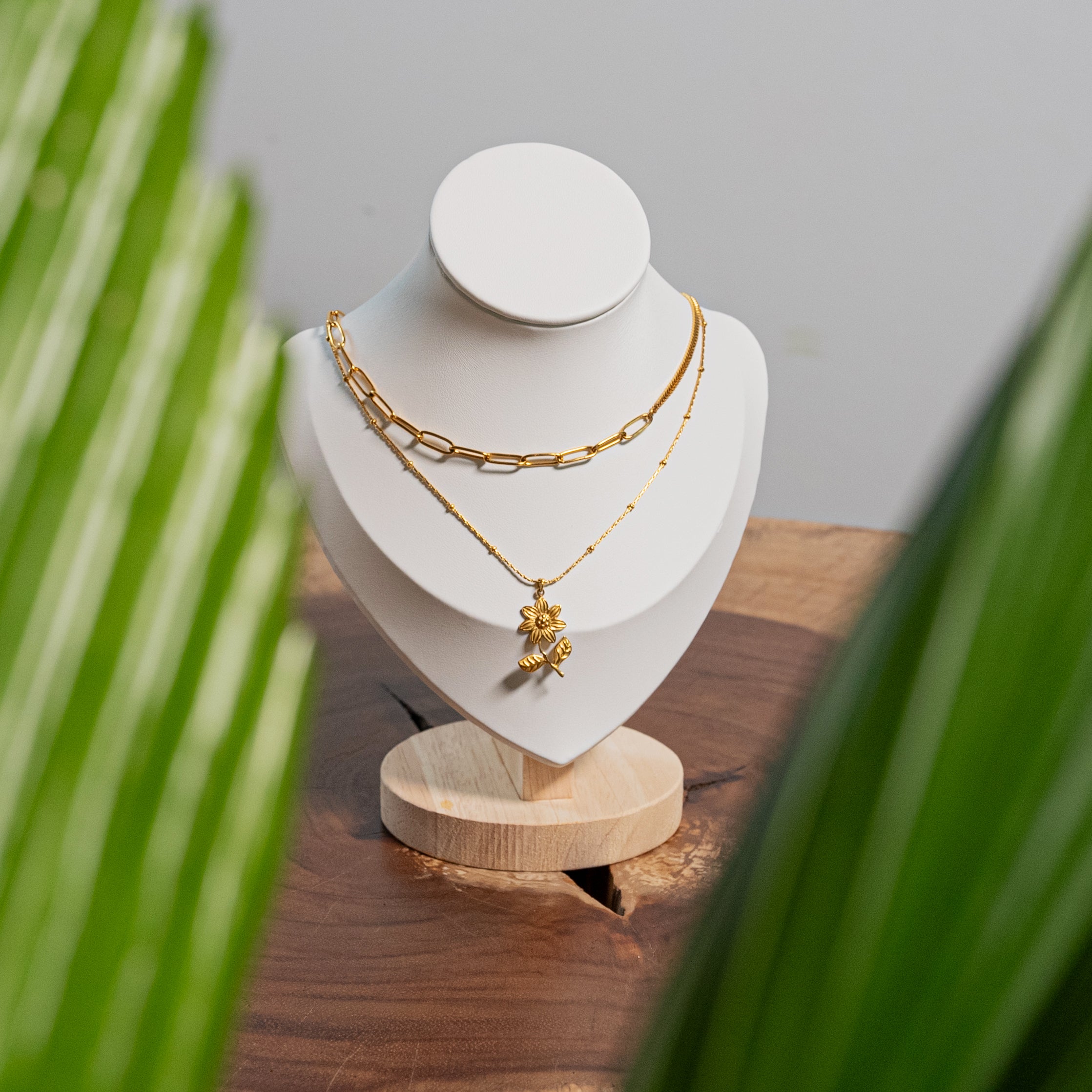 Collar (acero inoxidable)