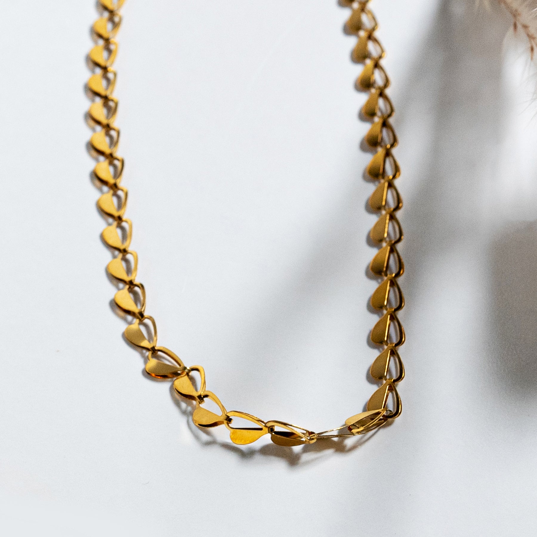 Collar (acero inoxidable)