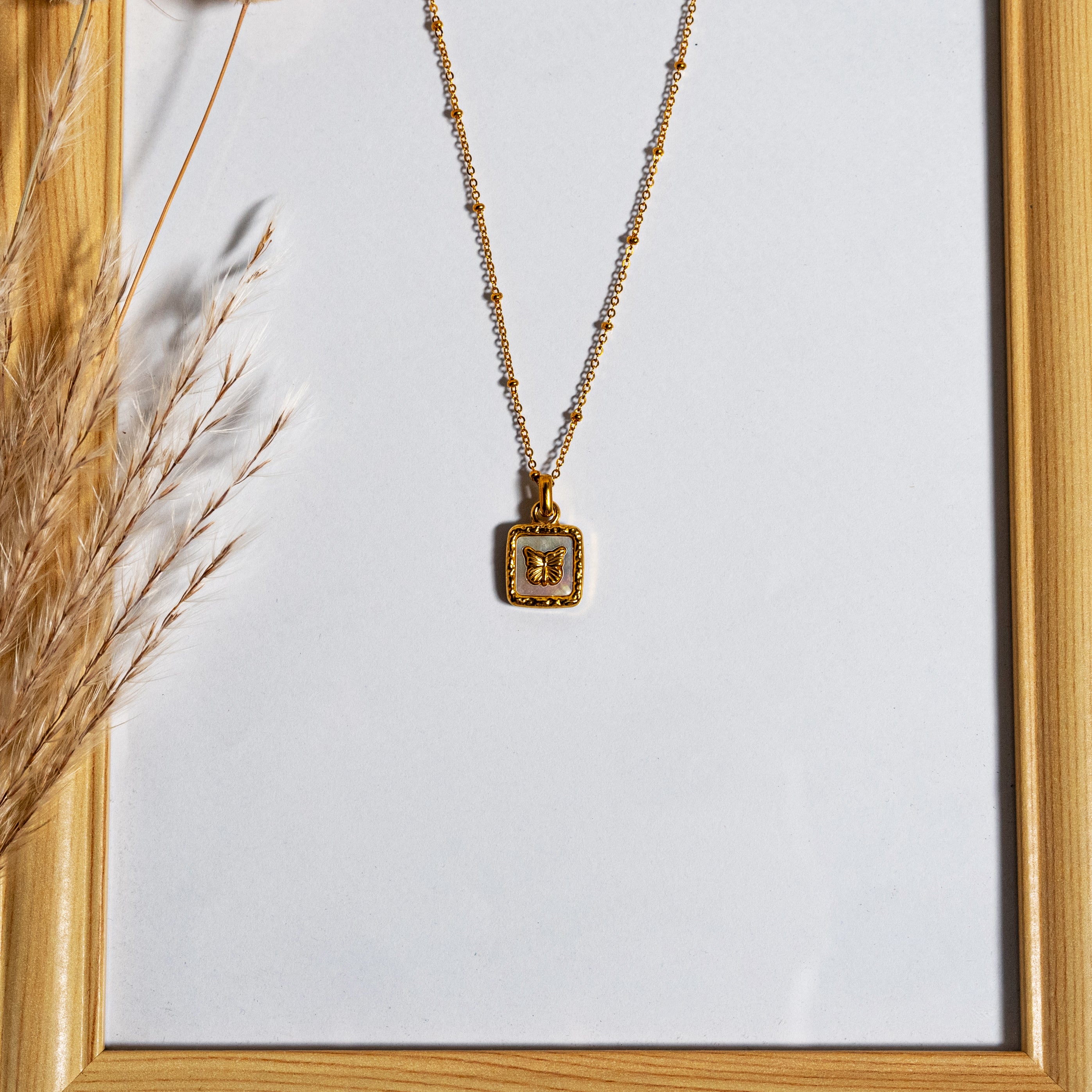 Collar (acero inoxidable)