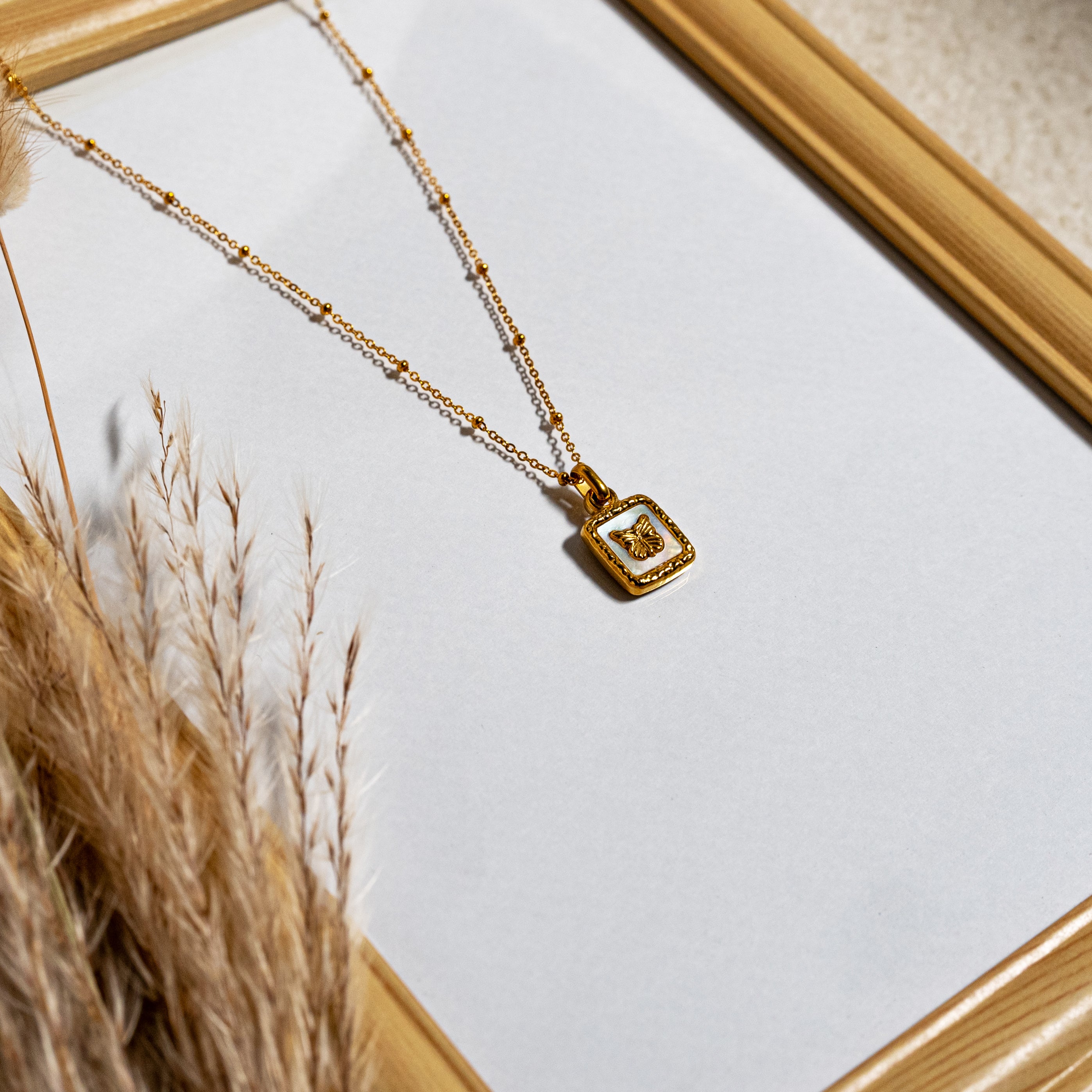 Collar (acero inoxidable)