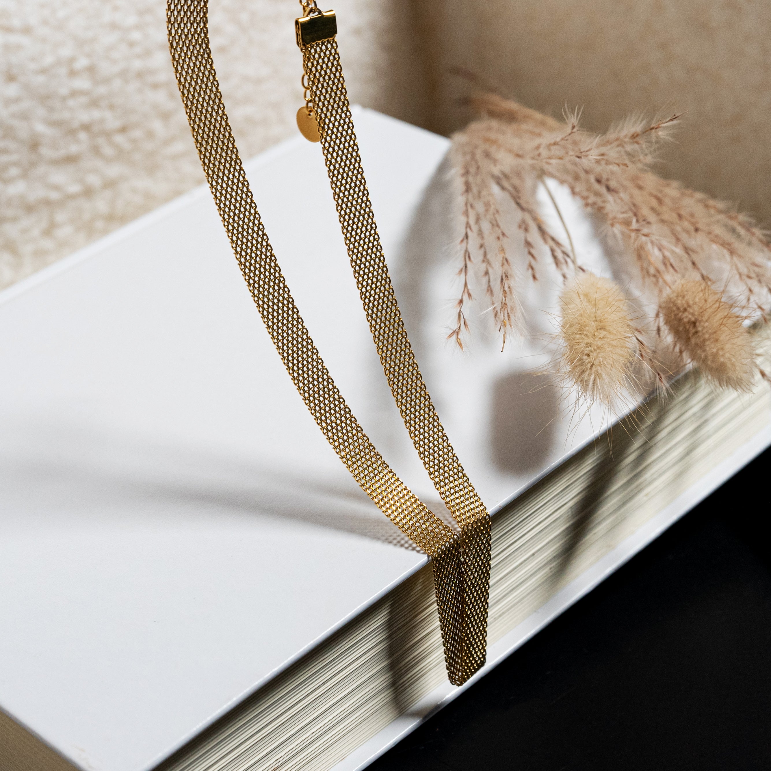 Collar (acero inoxidable)