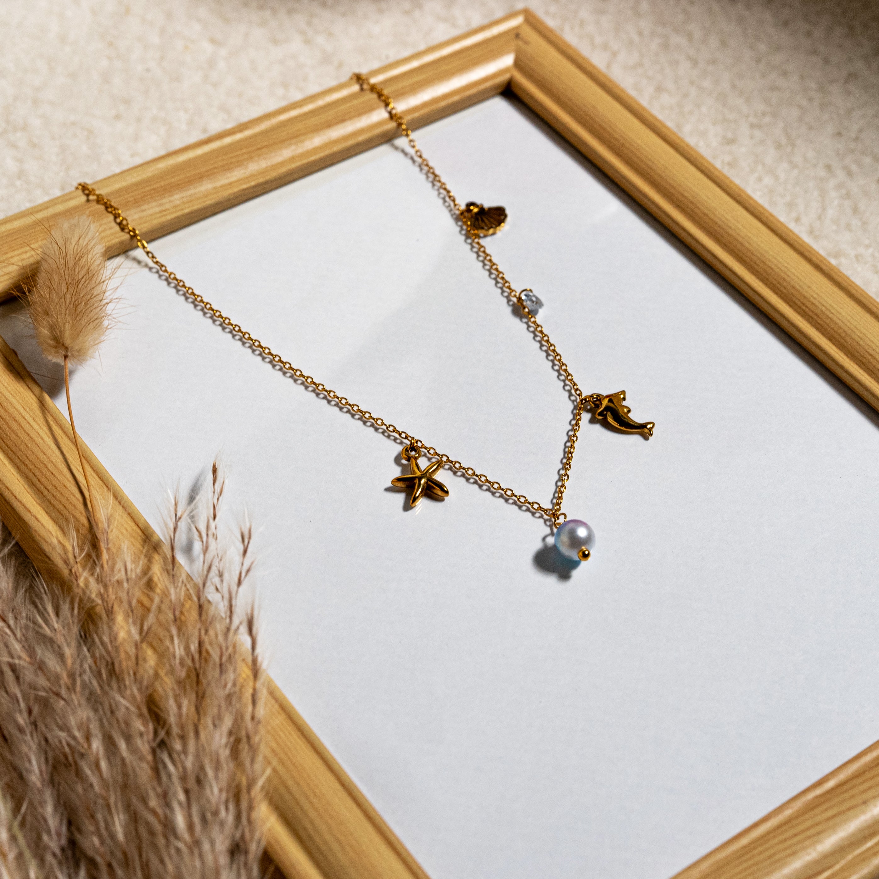 Collar (acero inoxidable)