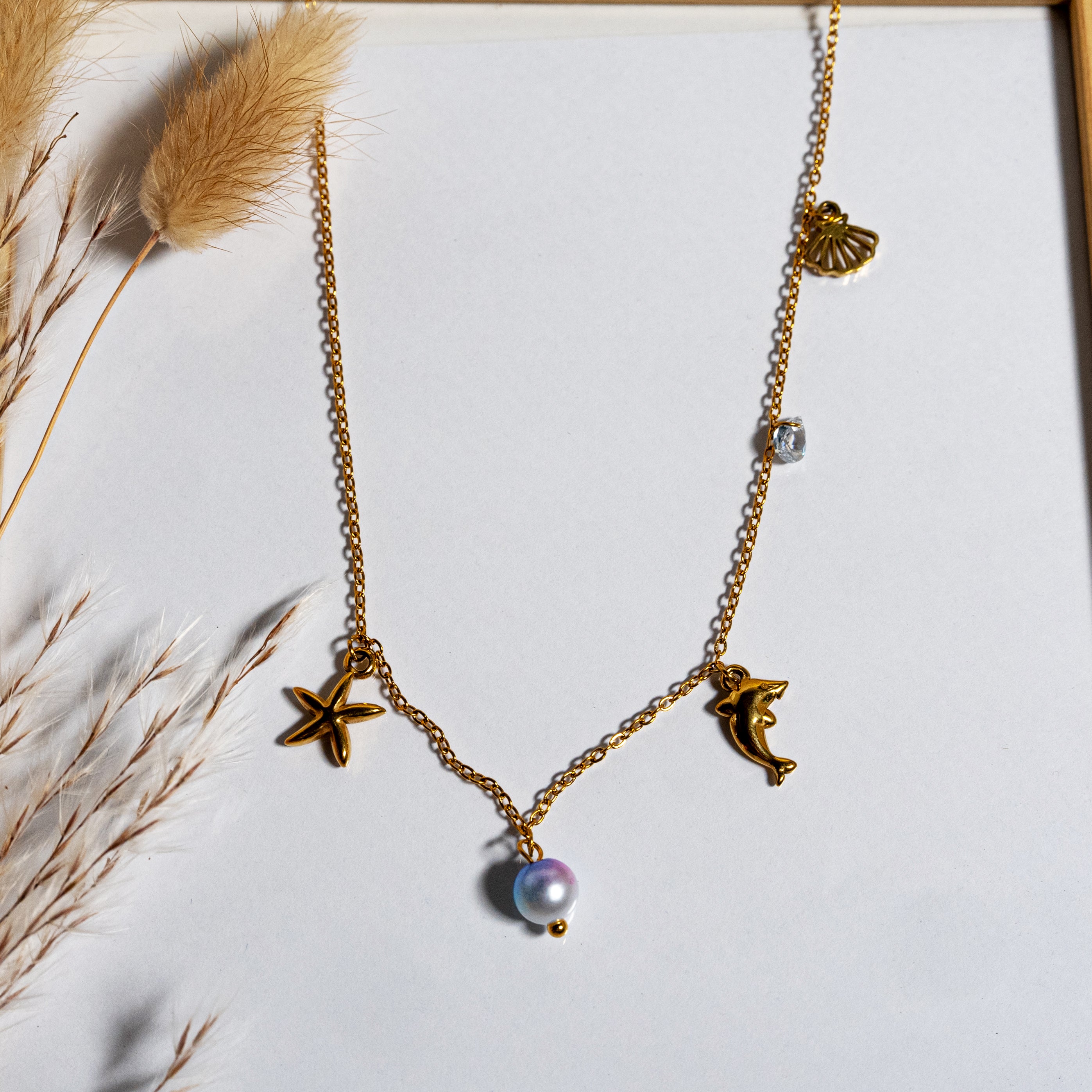 Collar (acero inoxidable)