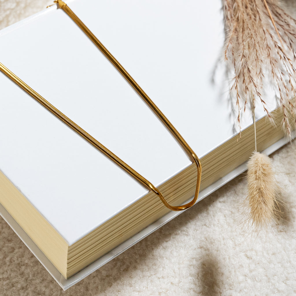 Collar (acero inoxidable)