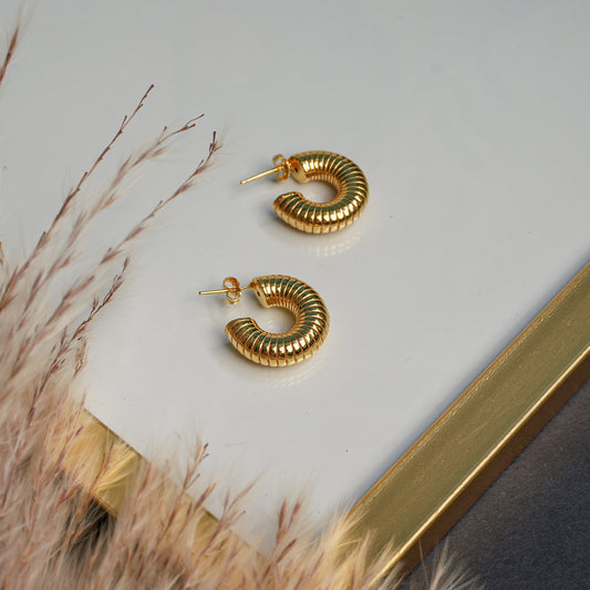 Aretes (Plata 925)