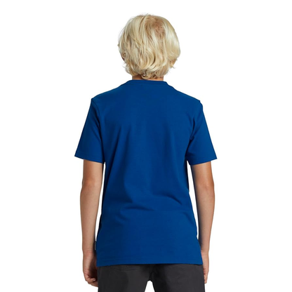 Camiseta - Quiksilver (L-14)