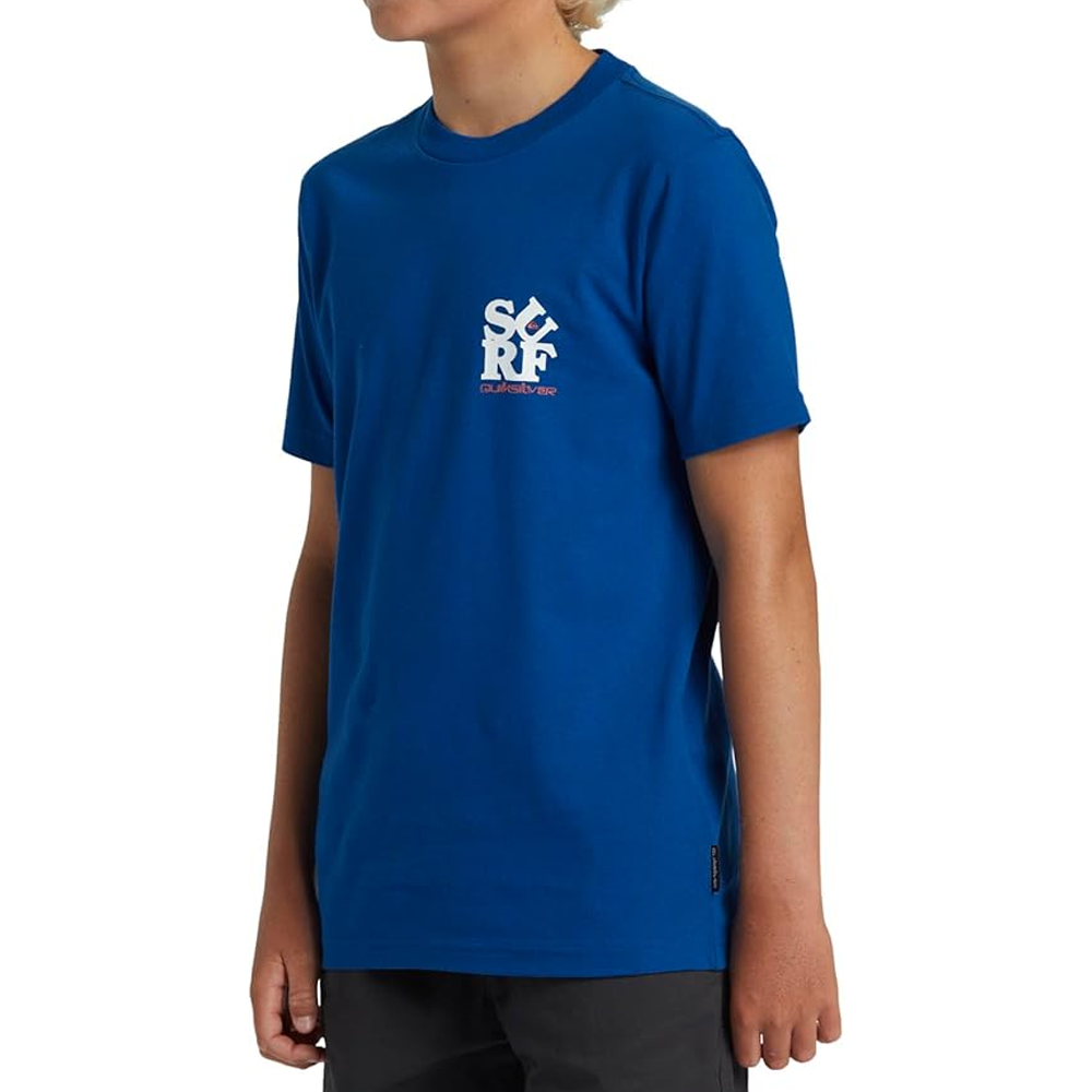 Camiseta - Quiksilver (L-14)
