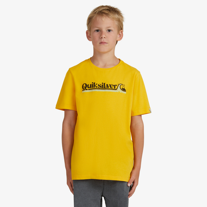 Camiseta - Quiksilver (M-12)