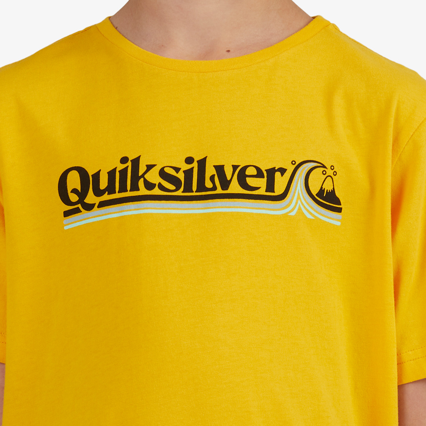 Camiseta - Quiksilver (M-12)
