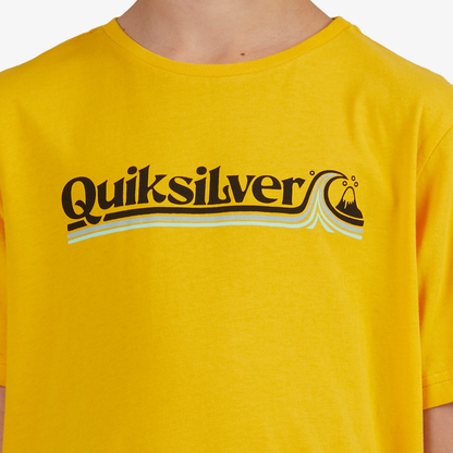 Camiseta - Quiksilver (M-12)