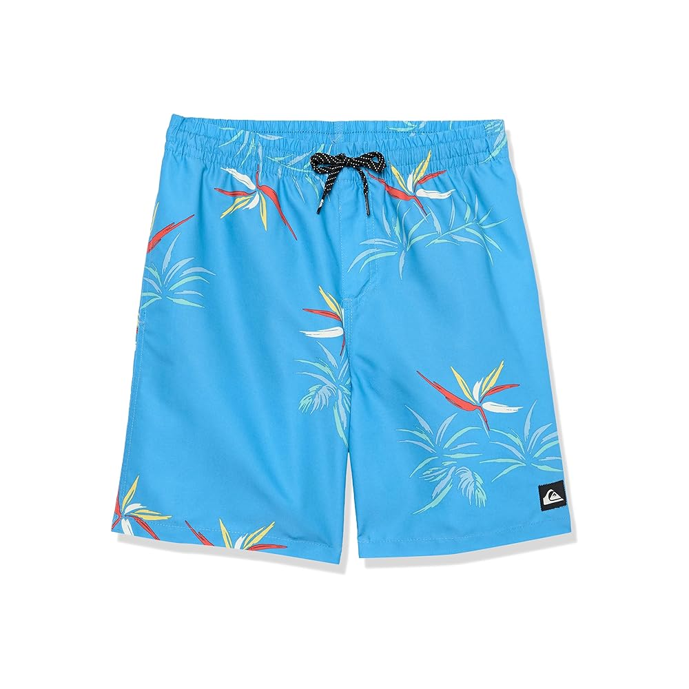 Pantaloneta - Quiksilver 17"