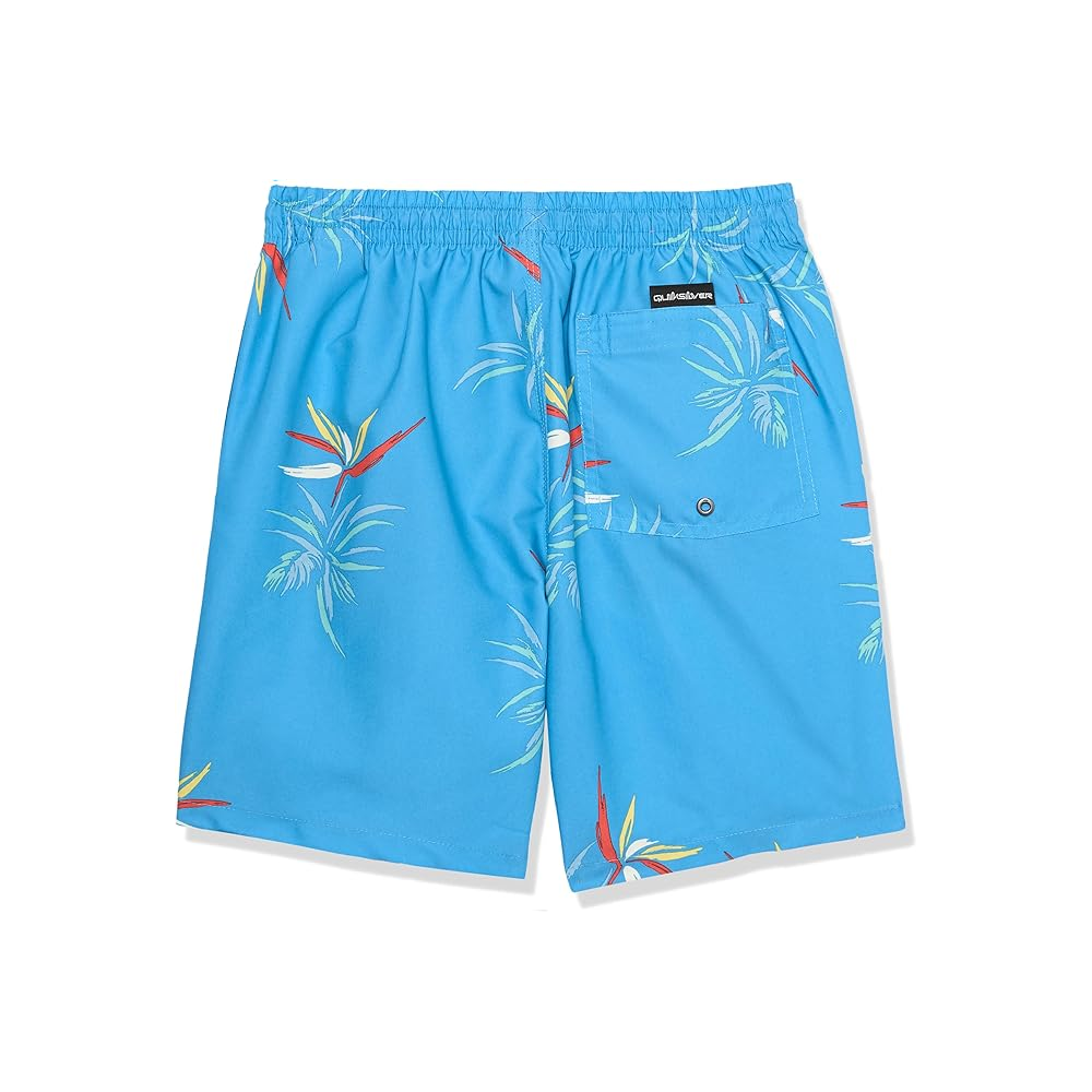 Pantaloneta - Quiksilver 17"