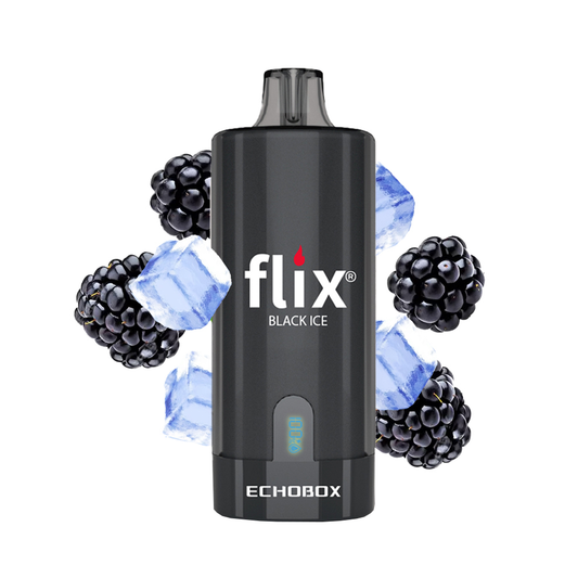 Vaporizador 12.000 Puffs - Flix EchoBox - Black Ice