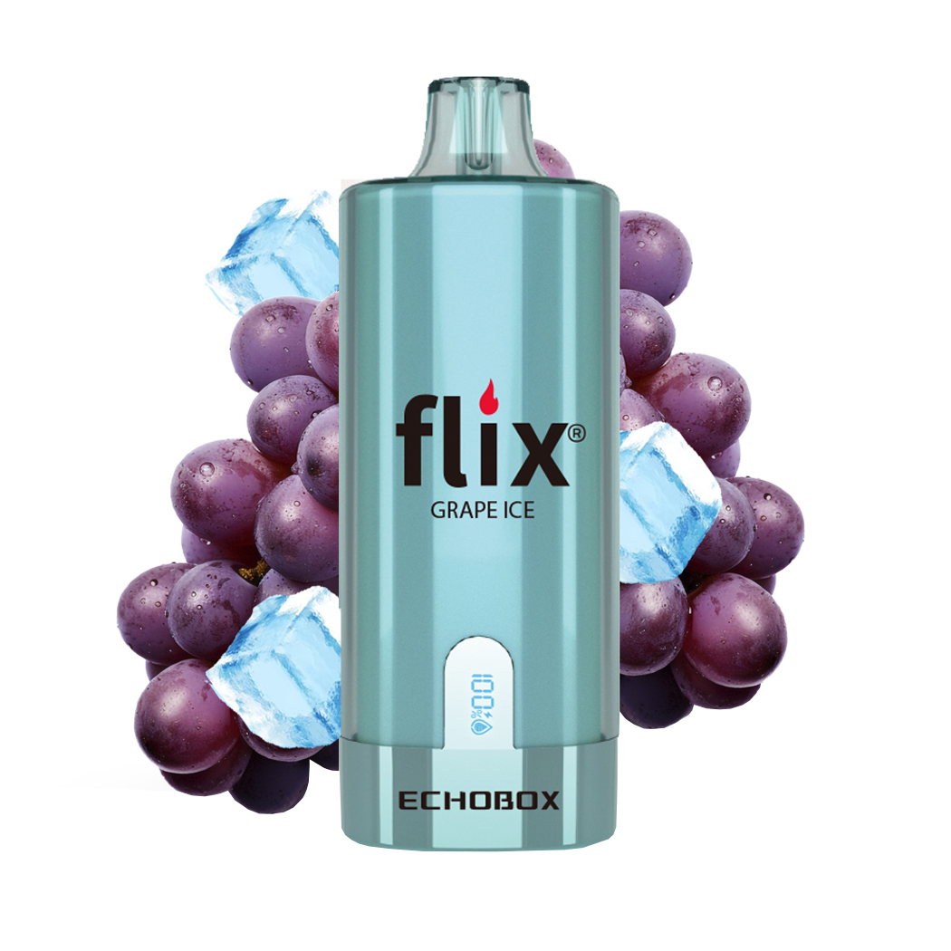 Vaporizador 12.000 Puffs - Flix EchoBox - Grape Ice